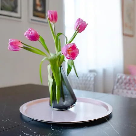 Luxury For Groups & Families In Center Apartment