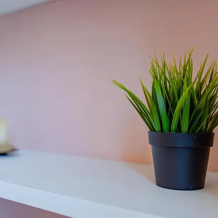 Luxury For Groups & Families In Center Turin